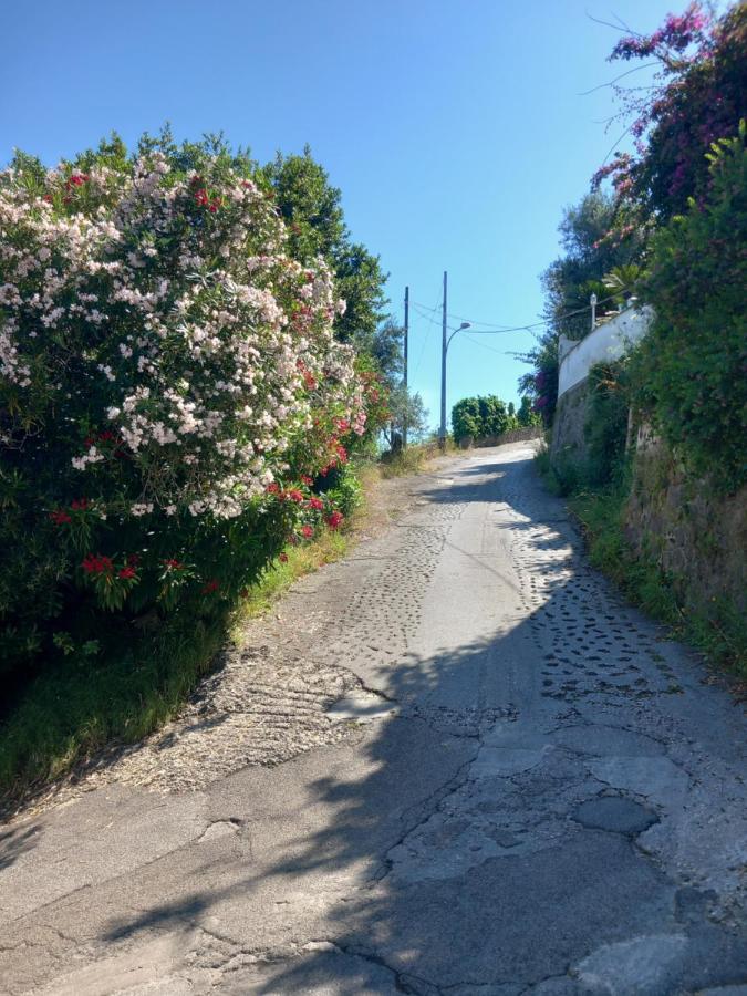 Villetta Panoramica Forio di Ischia 외부 사진