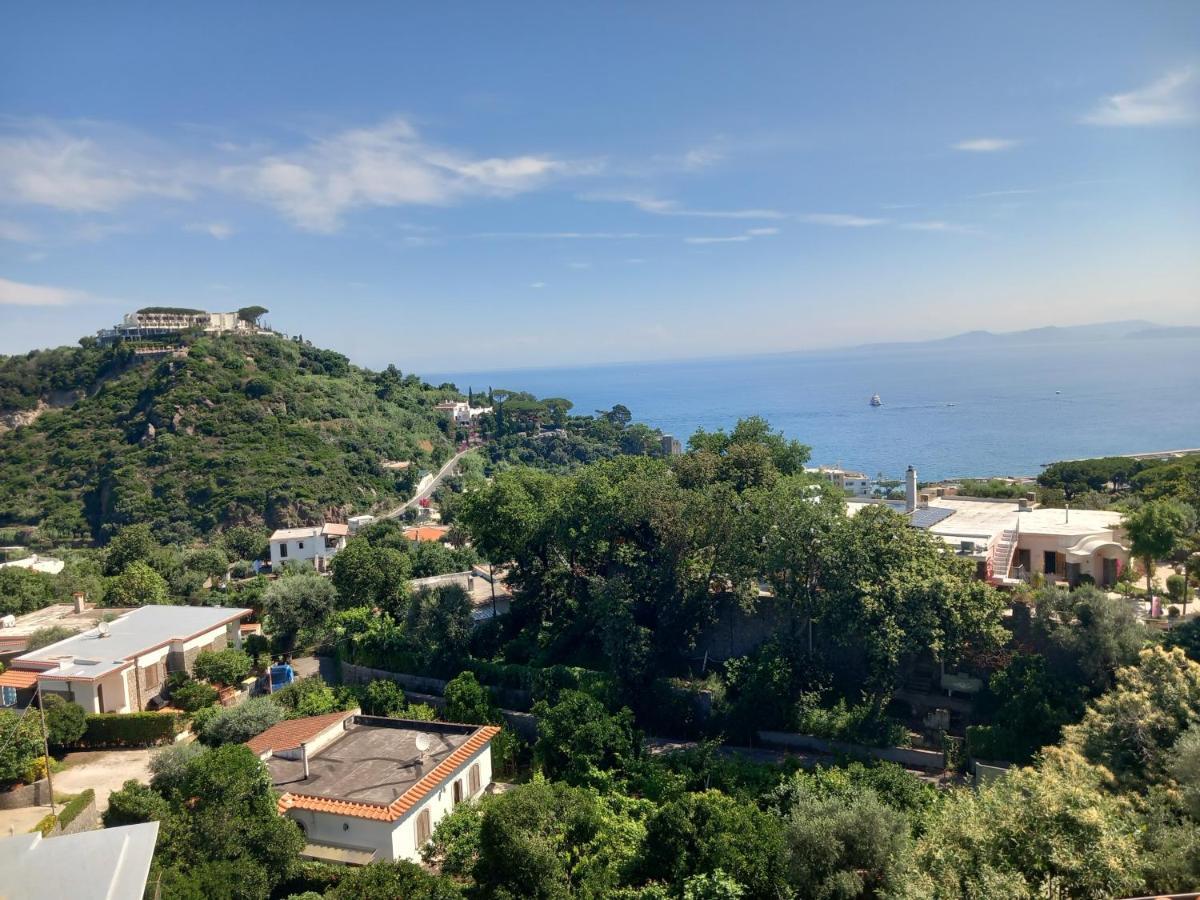Villetta Panoramica Forio di Ischia 외부 사진